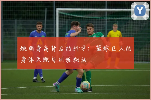 姚明身高背后的科学:篮球巨人的身体天赋与训练秘诀