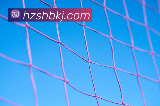 奖项证书